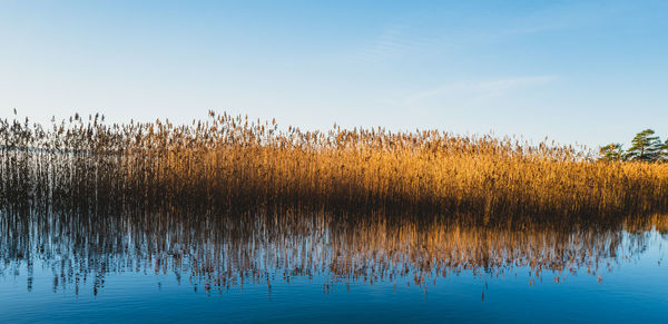 Scenic view of lake against sky