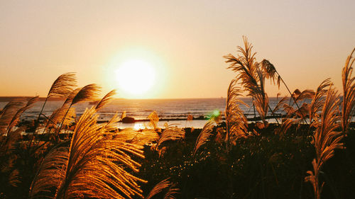 Scenic view of sea against sky during sunset