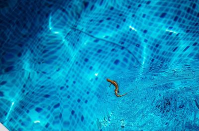 People swimming in sea