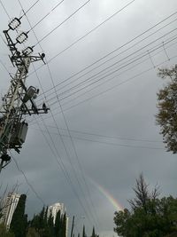 Low angle view of spider web on tree against sky