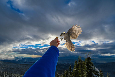 Man feeding bird against sky