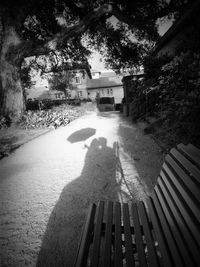 Shadow of trees on walkway