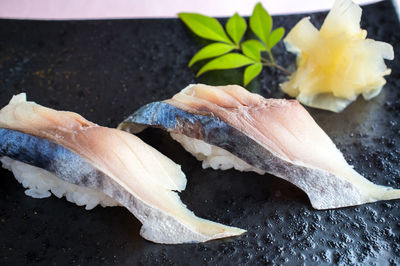 Close-up of dead fish