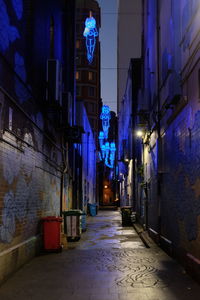 Narrow alley along buildings