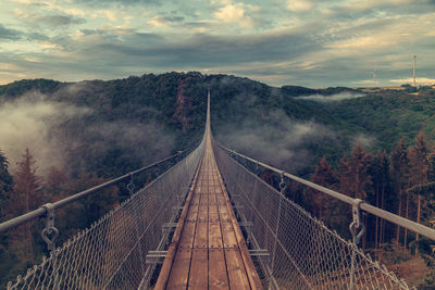 View of a suspension bridge in germany, geierlay.