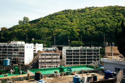 Trees and buildings against clear sky