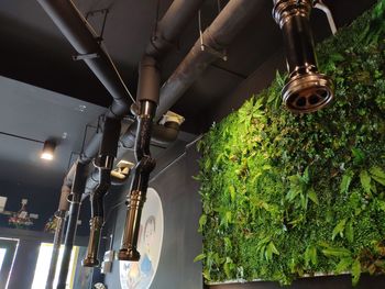 Close-up of bicycle hanging by plants