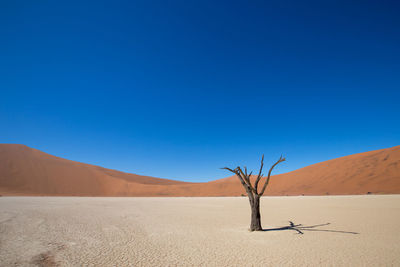 Scenic view of desert against clear blue sky