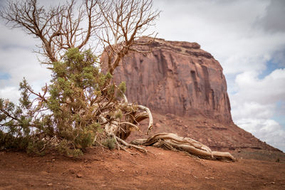 Rock formation amidst trees against sky