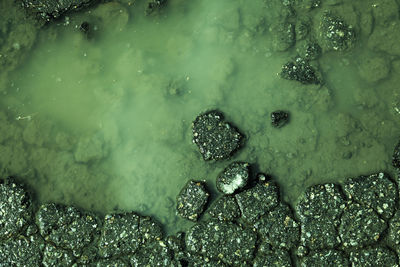 water