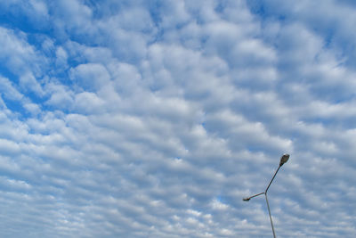 Low angle view of power lines against blue sky