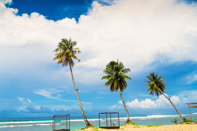 Scenic view of palm trees on beach against cloudy sky