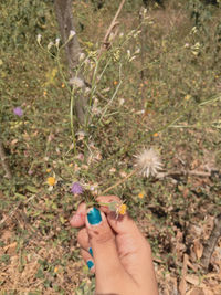 Close-up of hand holding flowering plant