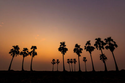 Silhouette palm trees on field against sky at sunset