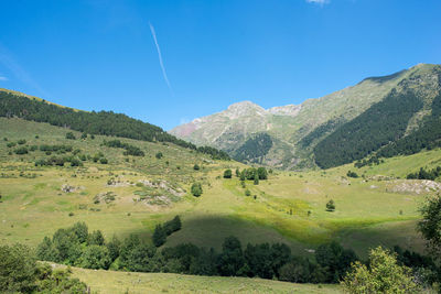 Scenic view of field against blue sky