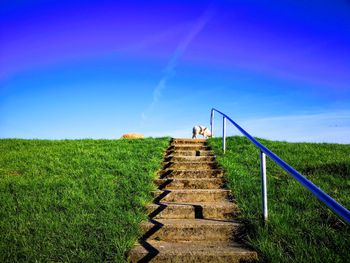 Staircase on field against sky