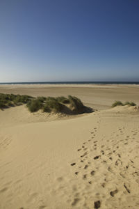 Scenic view of beach against clear blue sky