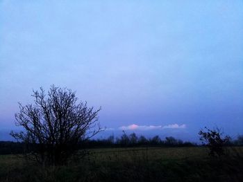 Silhouette trees on field against sky