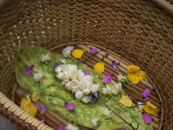 Close-up of flowering plant in basket