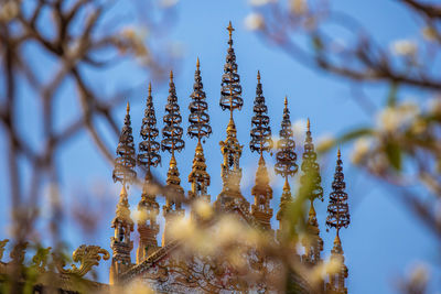 Close-up of flowering plant against sky during winter