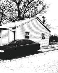 Bare trees with buildings in background