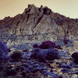 Low angle view of rock formations in desert