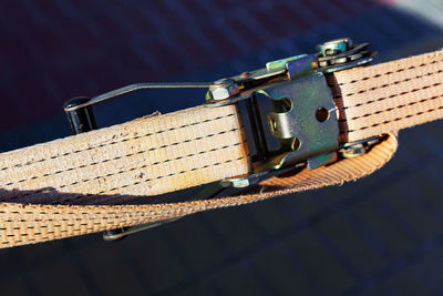 Cargo strap is attached to a metal belt. buckle and the texture of the belt material