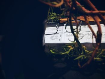 High angle view of potted plant on book