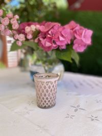 Close-up of potted plant on table