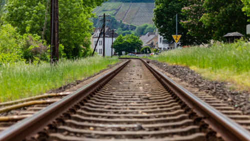 Railroad tracks by trees