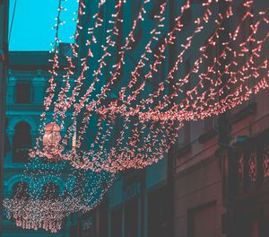 Low angle view of illuminated christmas tree at night