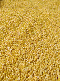 Full frame shot of corn