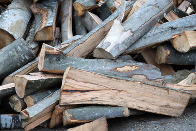 Full frame shot of logs in forest