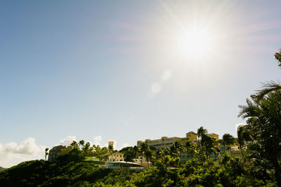 View of trees against blue sky