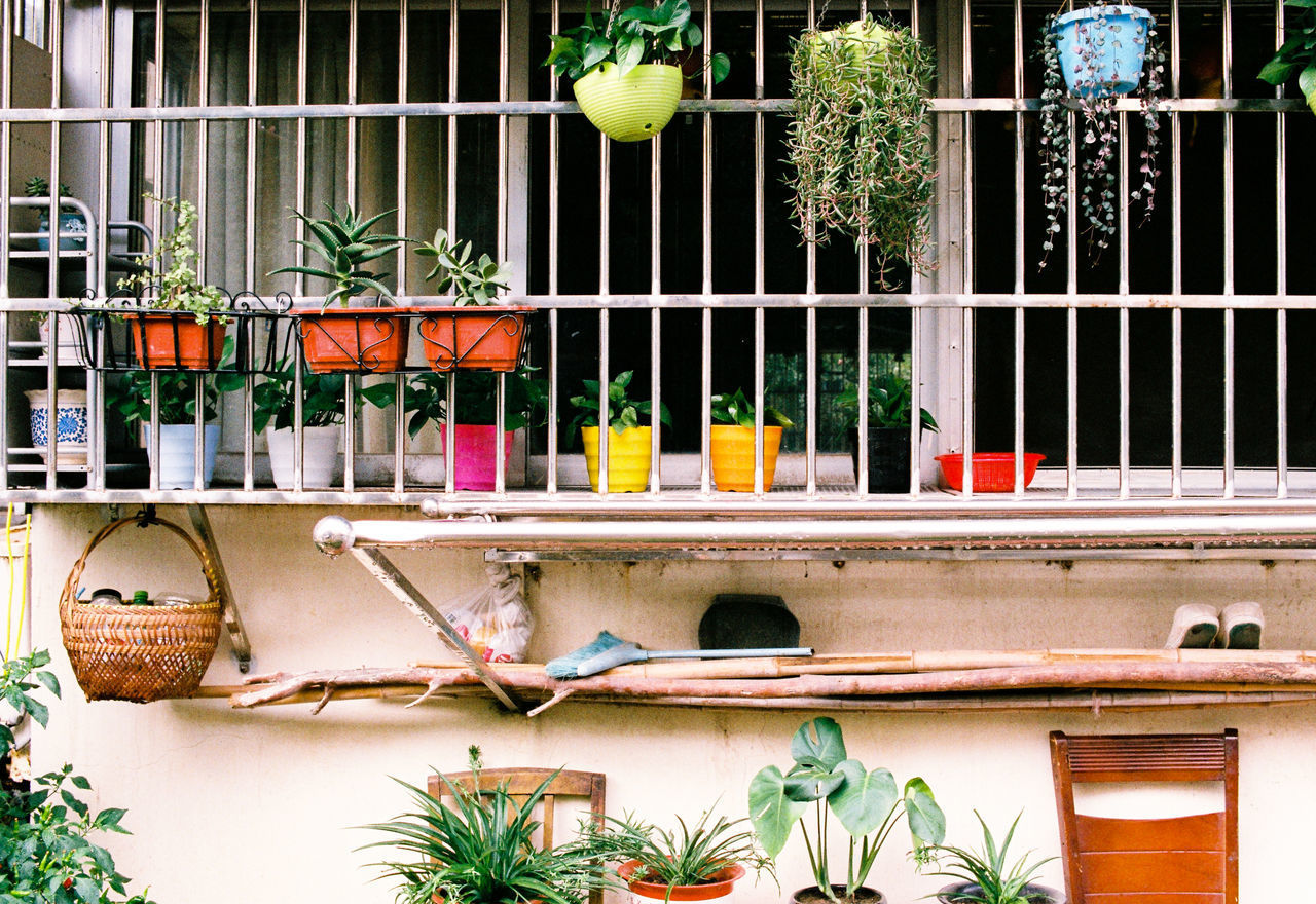 CLOSE-UP OF MULTI COLORED POTTED PLANTS IN CAGE