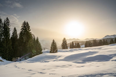 Beautiful winter walk on a snowy idyllic hiking trail. 