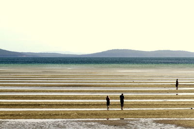 People walking on beach against clear sky