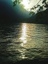 Reflection of trees in water at sunset