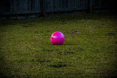 Colorful ball on grass