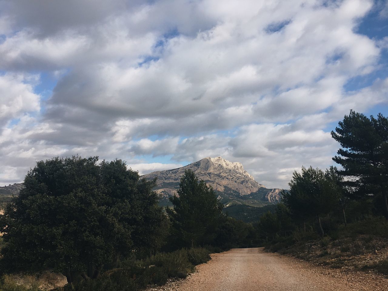 ROAD AMIDST TREES AGAINST CLOUDY SKY