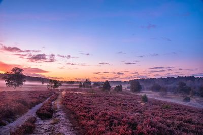 Scenic view of field against sky during sunset