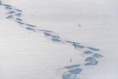 Scenic view of snow covered landscape