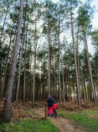 Rear view of woman in forest