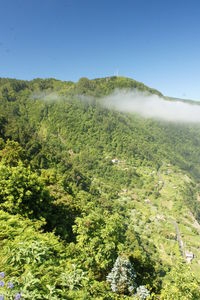 Scenic view of landscape against clear sky