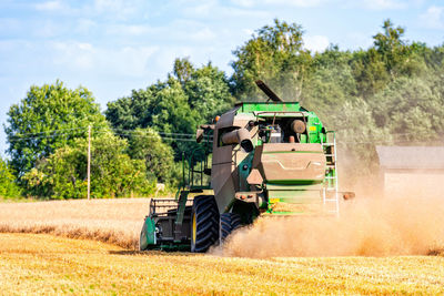 A combine harvester in a cloud of dust mowing a rye field, harvesting season, hot sunny summer day