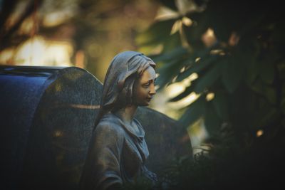 Close-up of young woman against tree