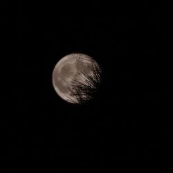 Low angle view of moon against sky at night