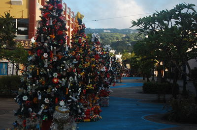 People hanging on tree against sky