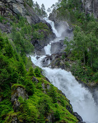 Scenic view of waterfall in forest