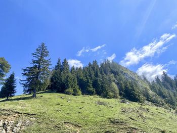 Scenic view of trees and mountains against blue sky